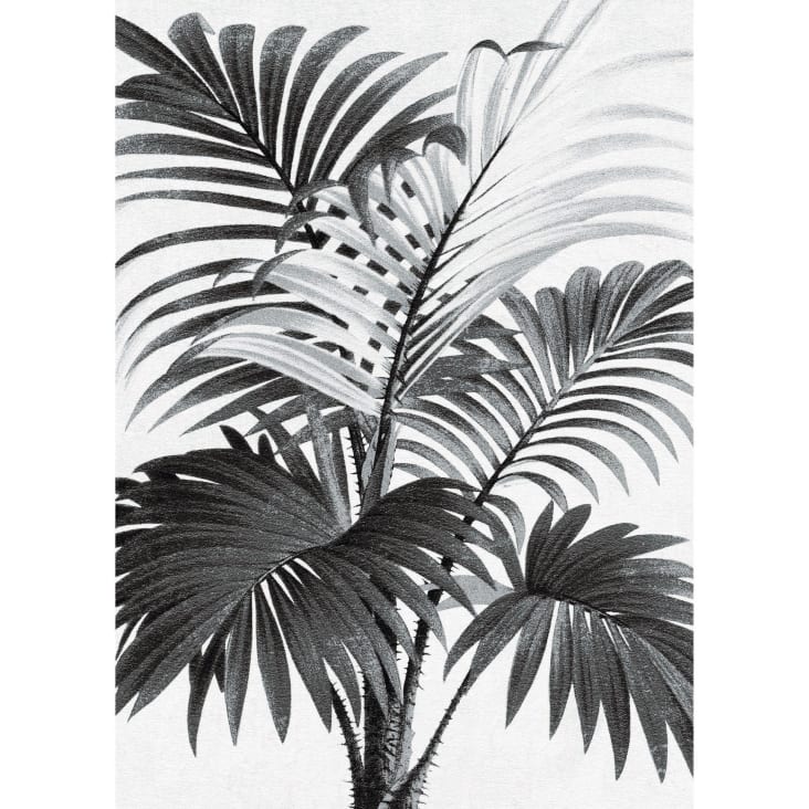 Poster en papier noir et blanc 50x70 cm PALMI