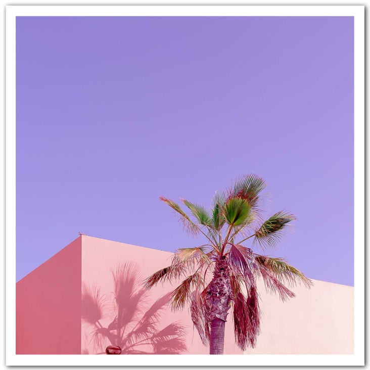 Affiche photo pink palma sans cadre 30x30cm