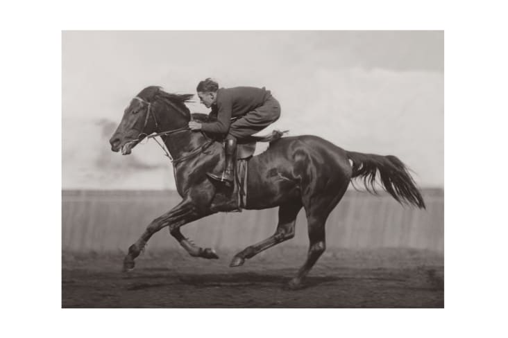 Photo ancienne noir et blanc cheval n°40 cadre noir 70x105cm