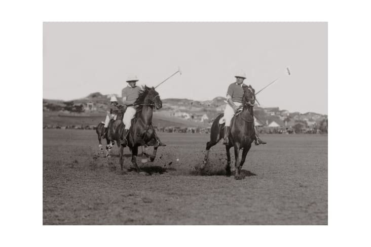 photo-ancienne-noir-et-blanc-cheval-n013-alu-30x45cm.jpg