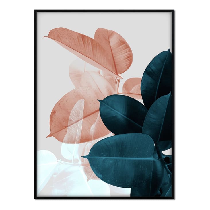 Poster con cornice nera - Ficus verde e arancione - 50x70 Plantas
