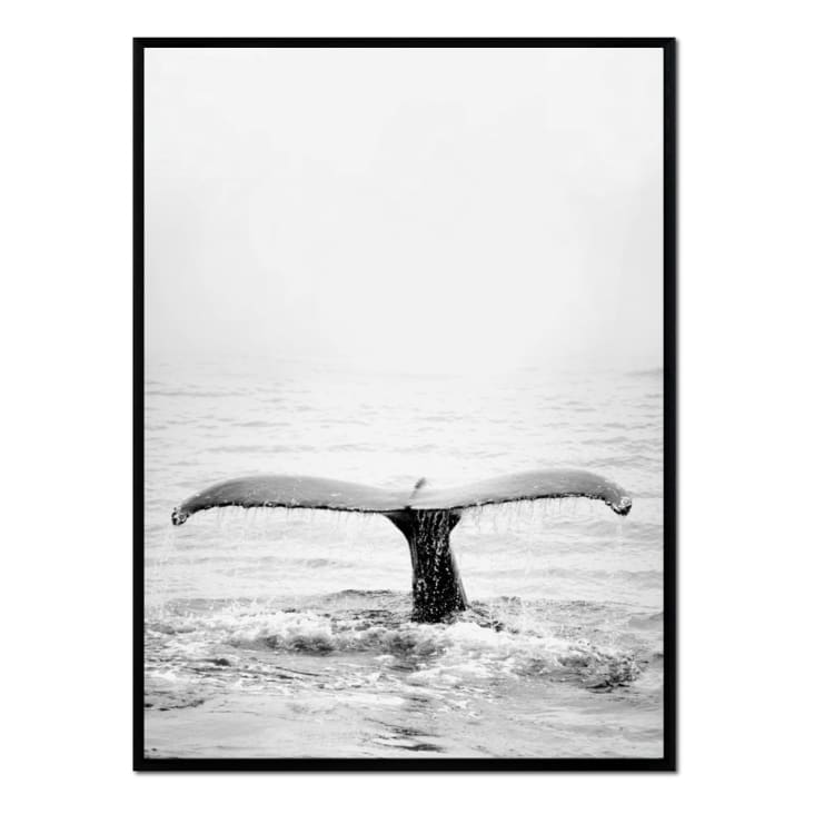 Affiche avec cadre noir Baleine noire et blanche 30x40