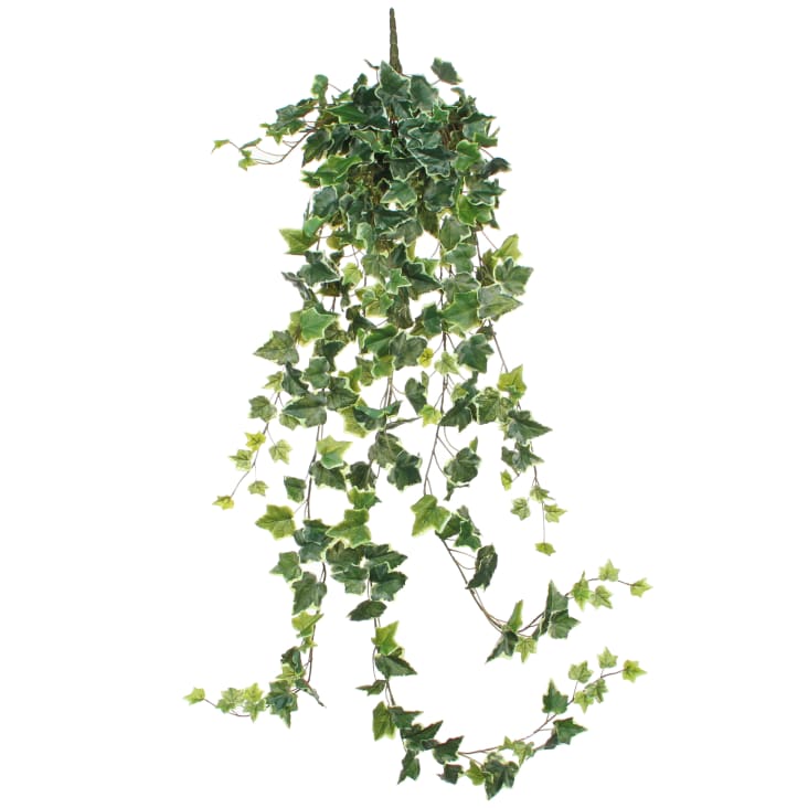 Künstlicher grüne Hängepflanze Hedera | H130 Ivy du Maisons Monde