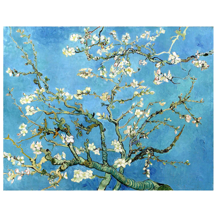 Stampa su tela - Mandorlo In Fiore - Vincent Van Gogh cm. 40x50