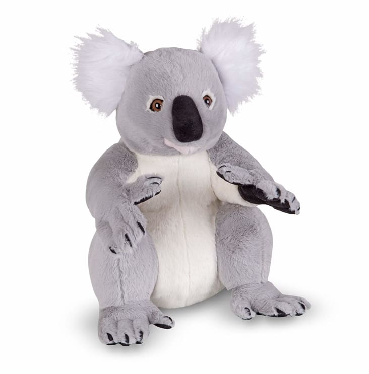 Doudou de koala de bebé en canalé 5935801