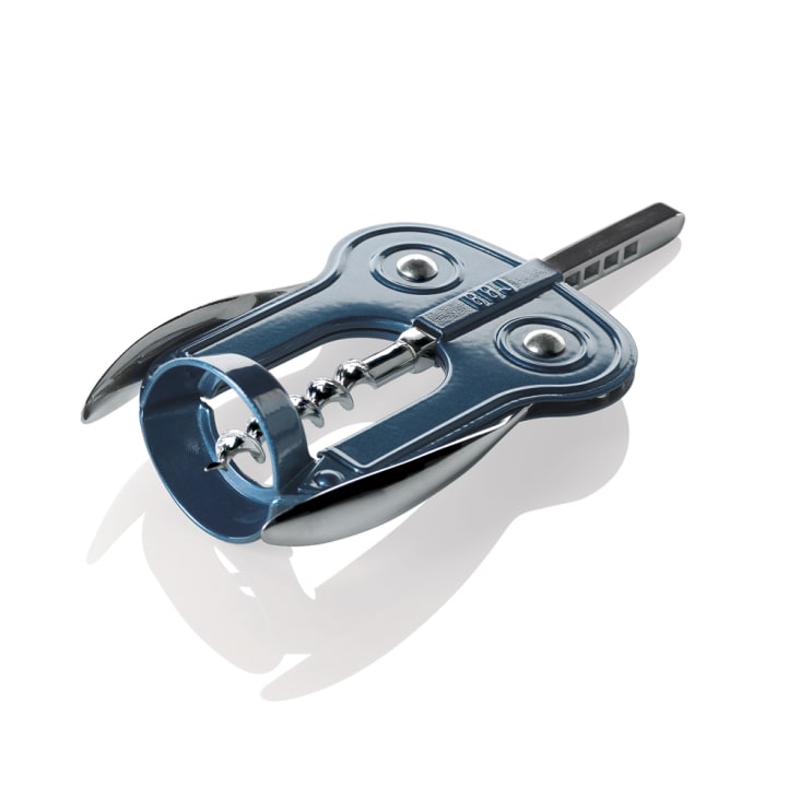 Top 10 Des Arbustes à Croissance Rapide Pour Préserver Votre Intimité