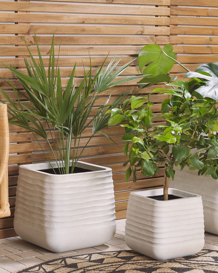 Macetas Decorativas de Interiores, una guía completa  Tall indoor plants,  Indoor plants, Houseplants indoor