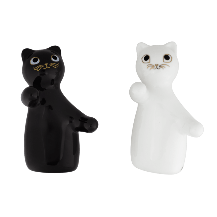 Salière et poivrière chats en porcelaine et silicone