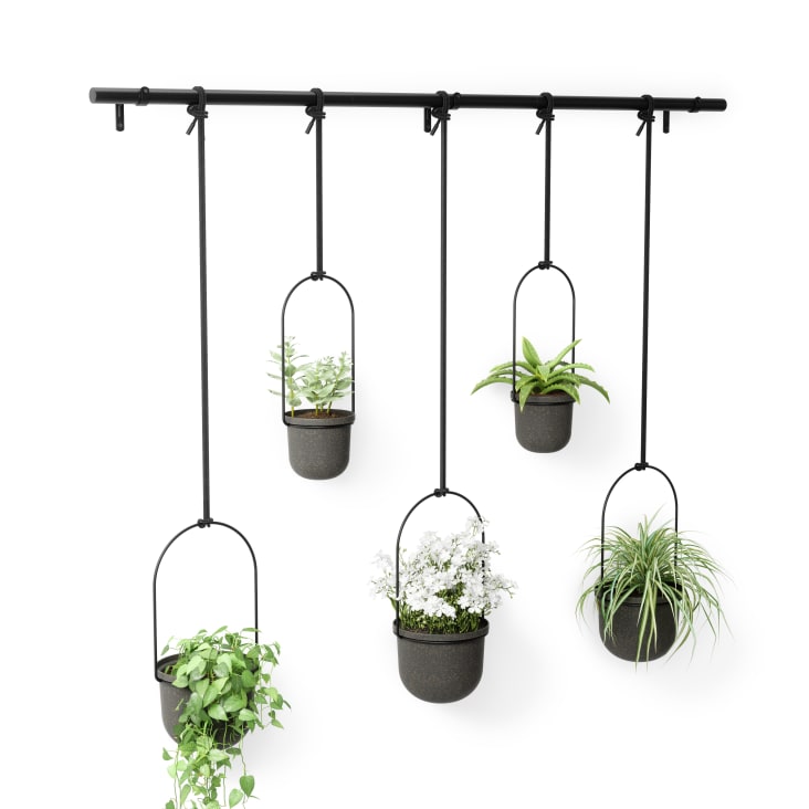 Lot De 5 Pots Suspendus Transparents ABS – Pour Plantes Hydroponiques, Aquariums, Balcon, Décoration Murale