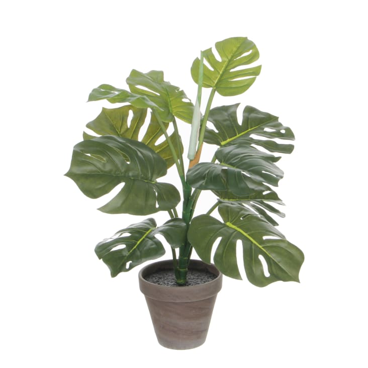 Monstera artificiale in vaso alt.48 Monstera