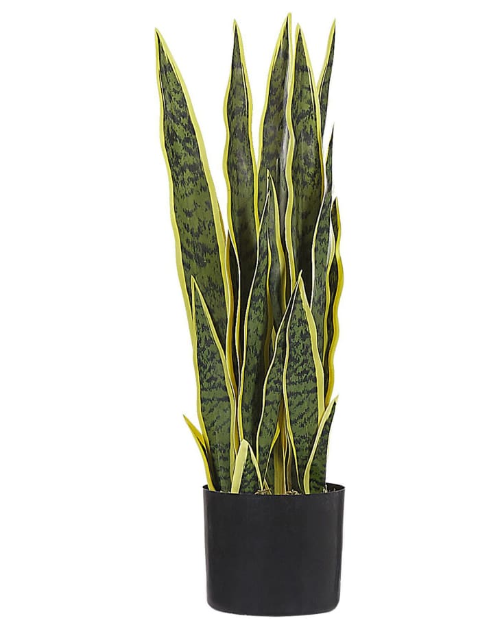 Pianta artificiale 63 cm Snake plant Maisons du Monde