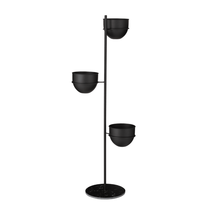 PORTA PIANTE FLORISTAND