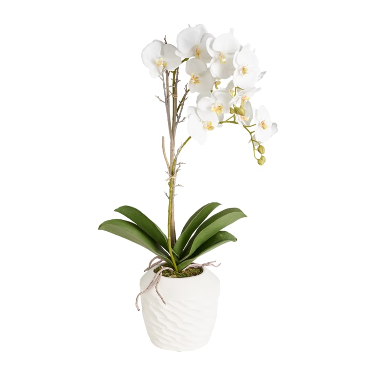 Orchidea Artificiale in Vaso d'Argilla H63 - 63 cm / Bianco