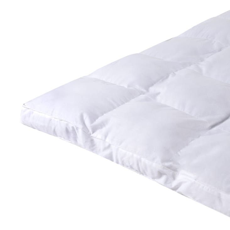 Four Seasons Essentials - Set Di 4 Protezioni Per Cuscini Standard 53x69 Cm - Impermeabili E Anallergici Con Cerniera