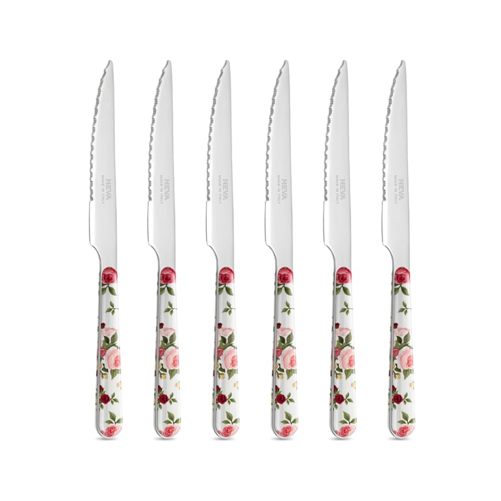 Set 6 coltelli bistecca acciaio inossidabile manico effetto porcellana  CUORICINI ROSSI