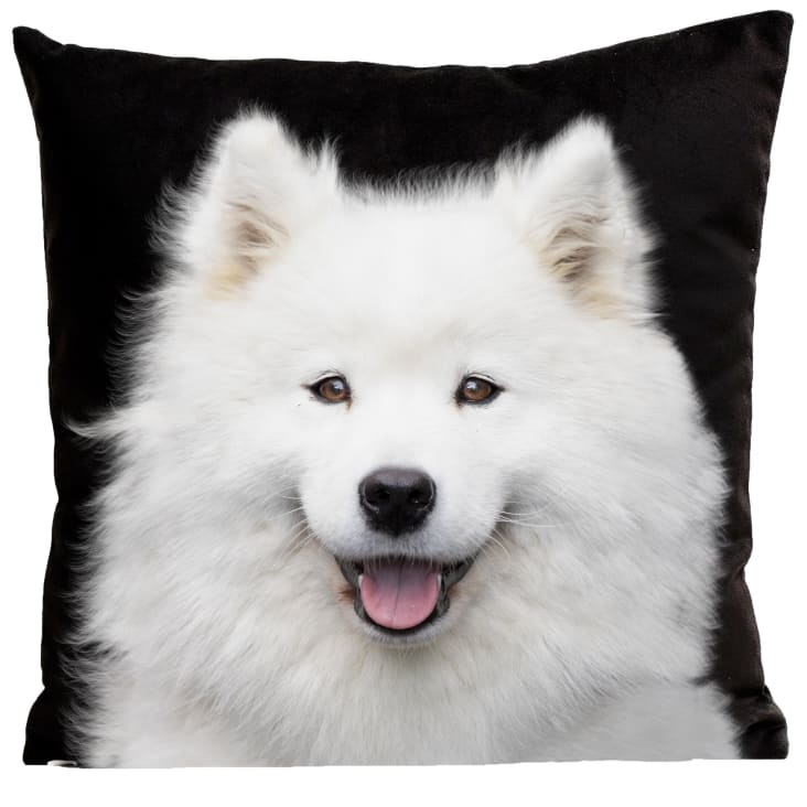 Coussin chien samoyede su dine noir 40x40cm Maisons du Monde