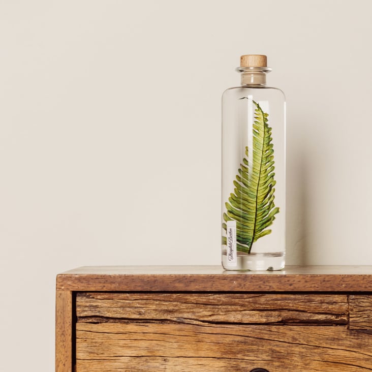 Plante immergée, Herbarium, Fleur en bouteille, Idée cadeau -  France