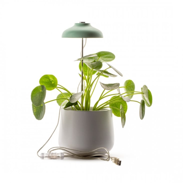 Lampe horticole : choix et prix d'une lampe horticole - PagesJaunes
