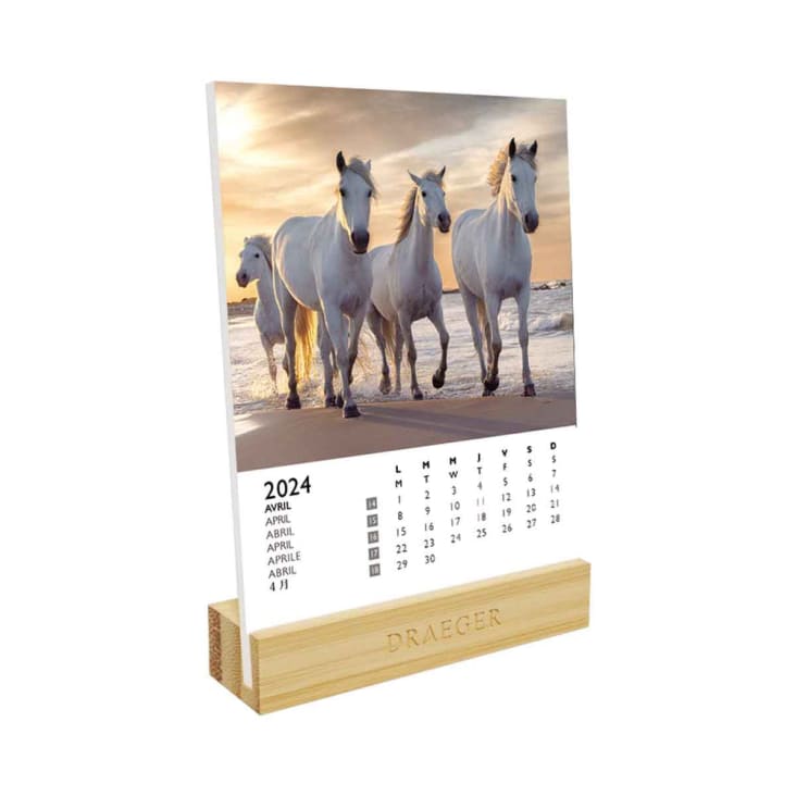 https://medias.maisonsdumonde.com/images/f_auto,q_auto,w_732/v1/mkp/M23166380_1/calendrier-sur-socle-en-bambou-a-theme-2024-chevaux.jpg