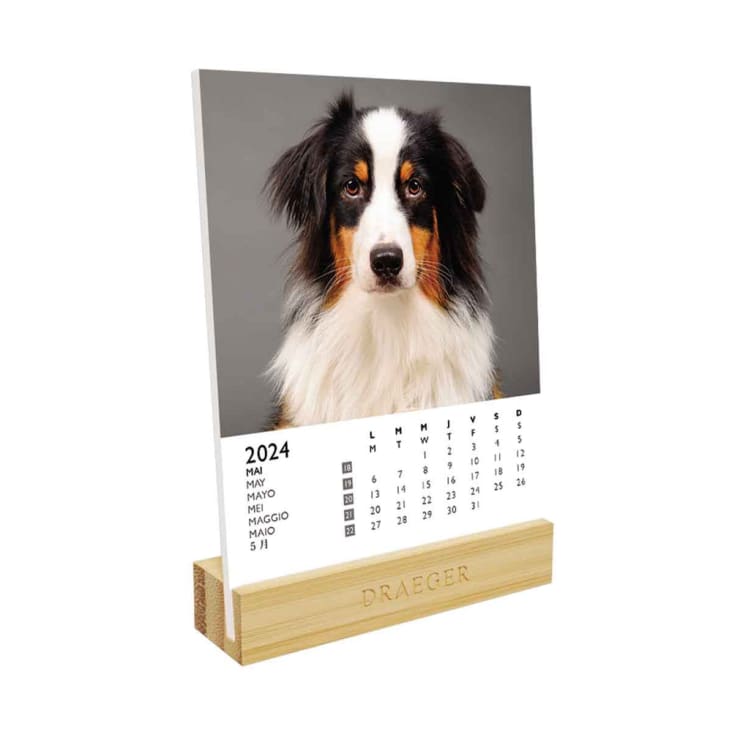Calendrier vertical Collection 2024 - Animaux multicolores