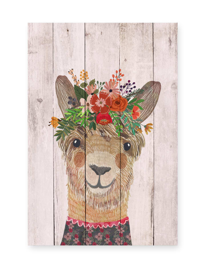 Pannello decorativo in legno 60x40 Llama Floreale Tabla | Maisons du Monde