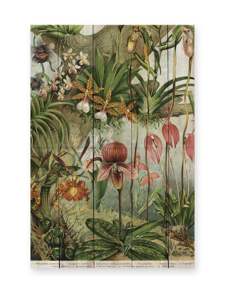 Panneau Déco En Bois Winchester Pêche Tackle – Super Look Rétro Pour Atelier Ou Garage 12x16 Pouces Sous Plastique
