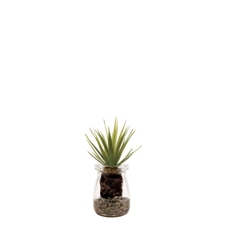 Atmosphera Centro Tavola 3 Aloe Vera Artificiali - H. 17 Cm In Vaso MDF - 5
