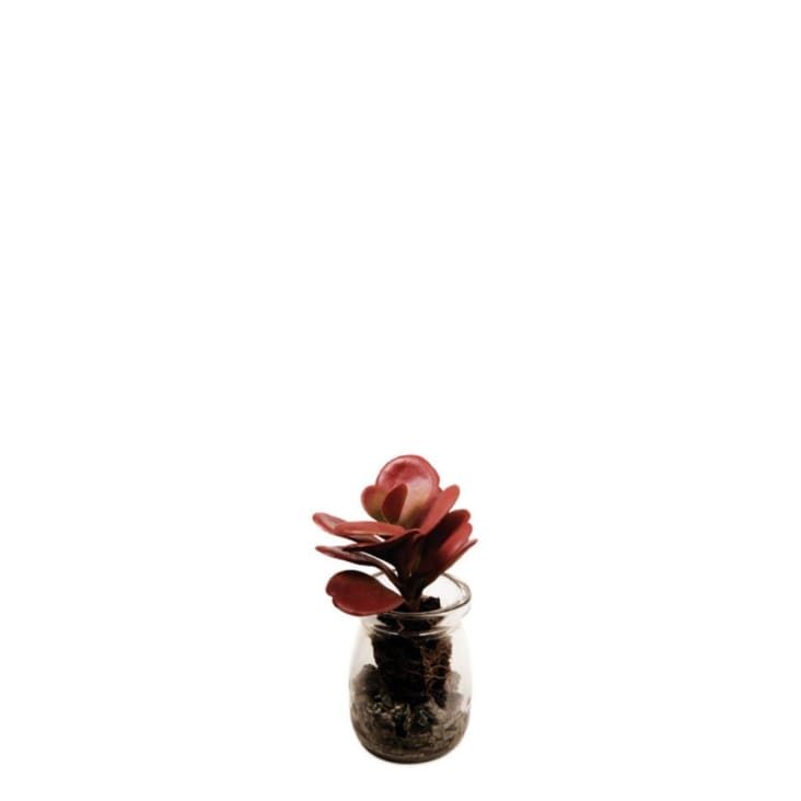 Pianta grassa artificiale echeveria glitterata in vaso argentato H15