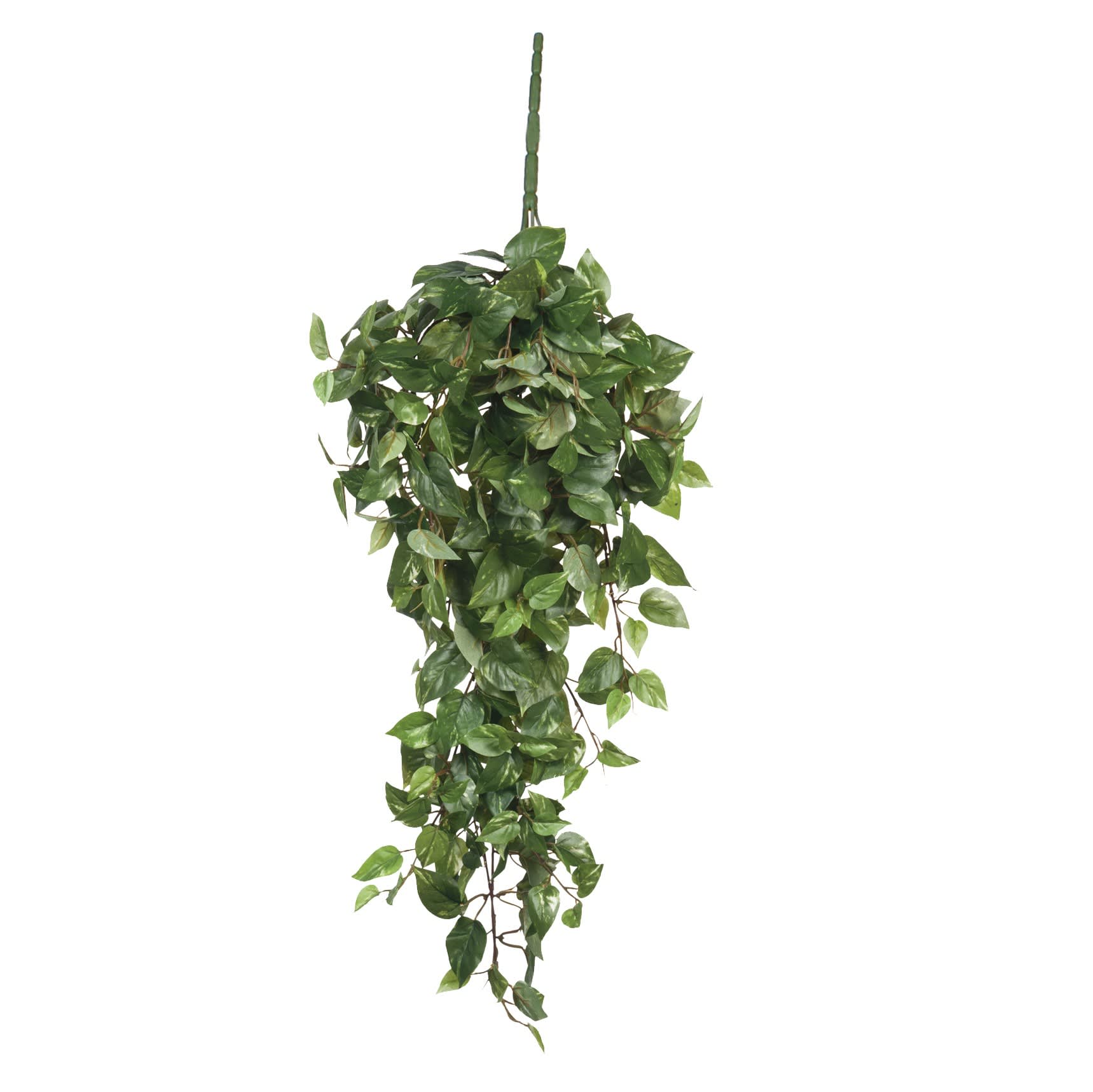 Scindapsus artificiale sospeso variegato alt.80 Scindapsus hanging