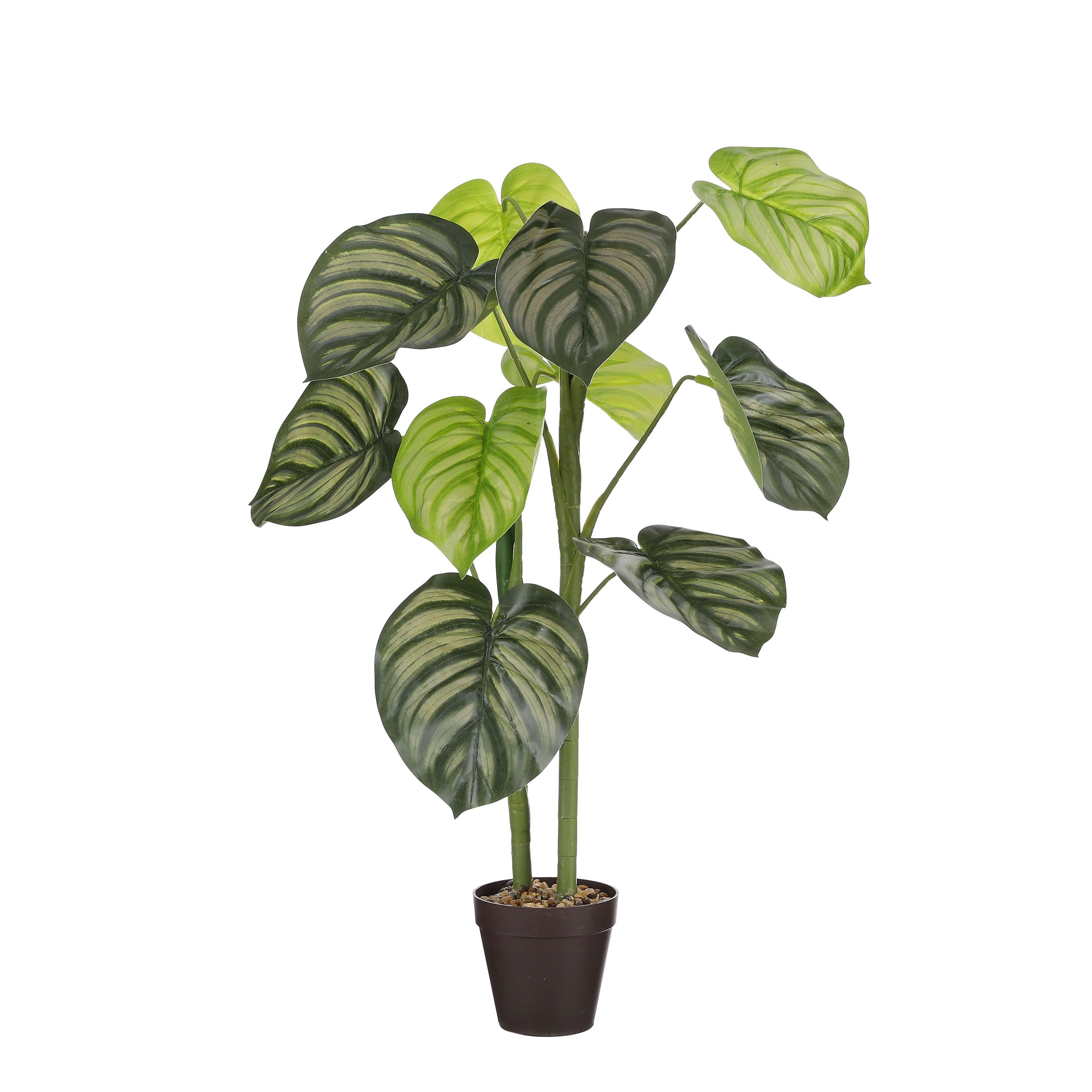 Calathea Orbifolia Pianta Artificiale - Arte Fiore