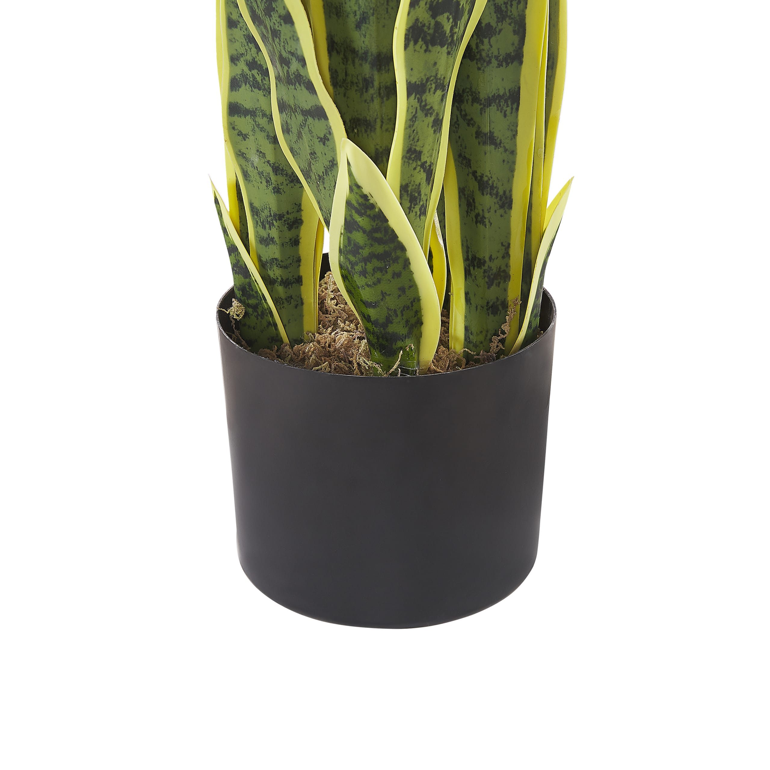 Pianta artificiale in vaso verde e nero 63 cm SNAKE PLANT 