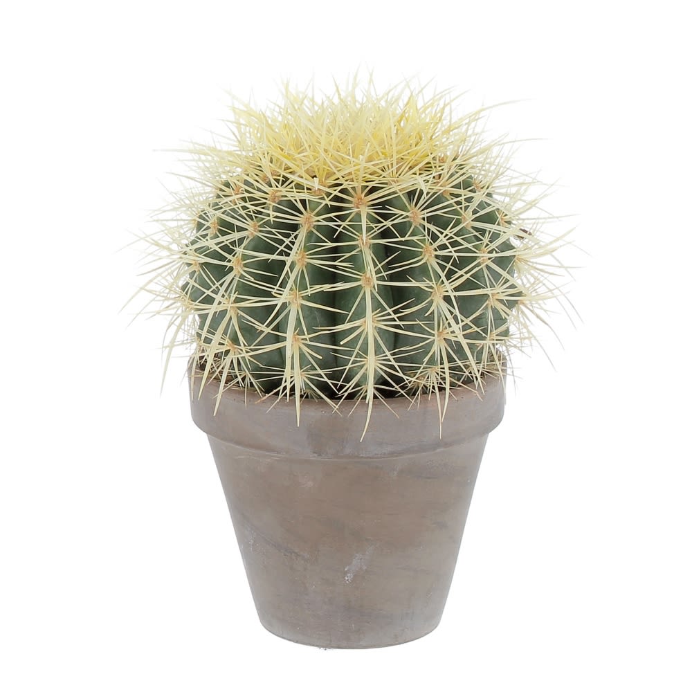 Cactus Finto in vaso 185 cm