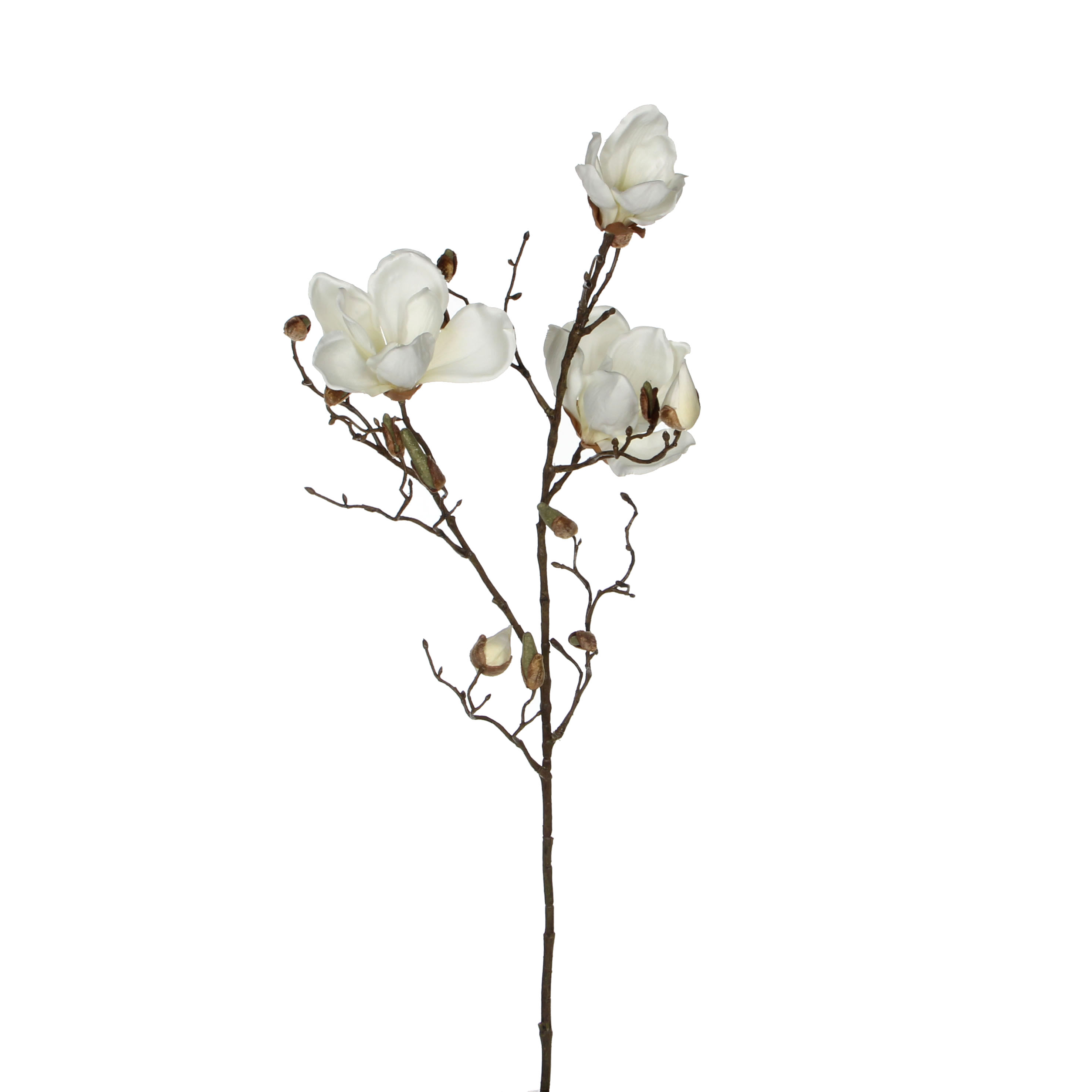 Decorazione fiori artificiali magnolia beige