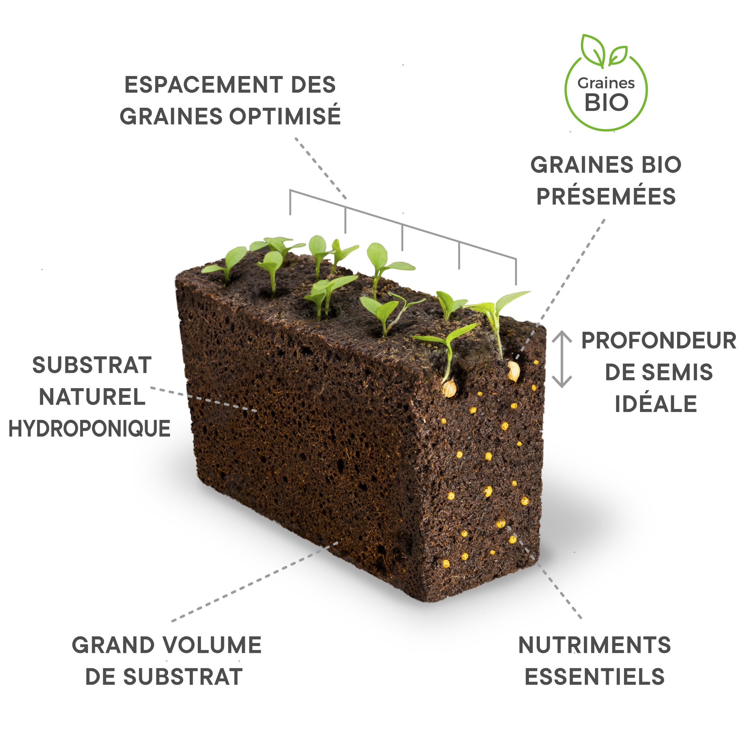 Lingot® Anis vert BIO - Recharge prête à l'emploi Véritable®