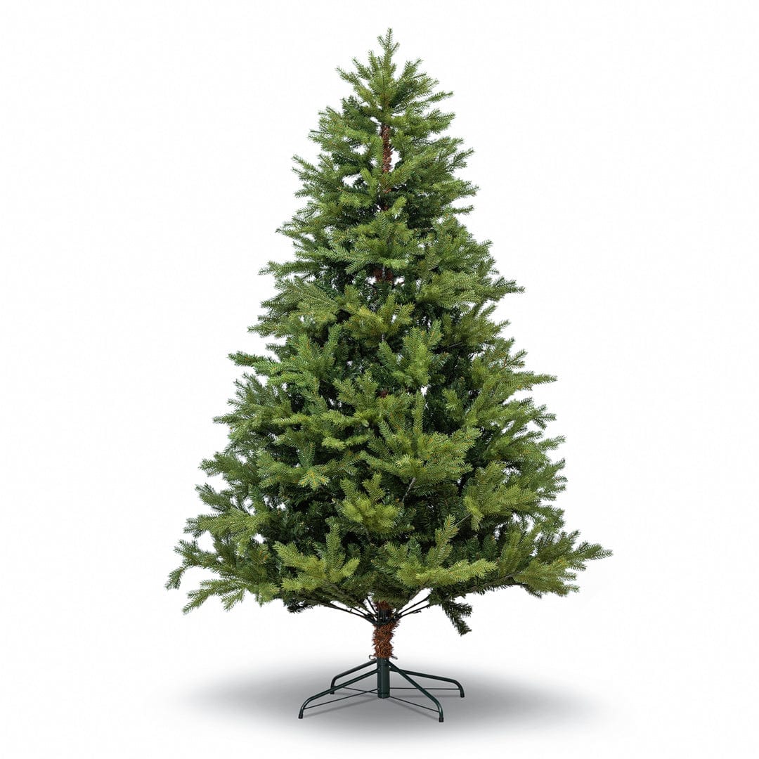 Albero Frejus H600-13428Rami ARTICOLI NATALIZI