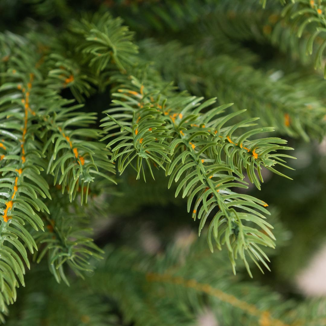 Alberi di Natale con sconti fino al 70%