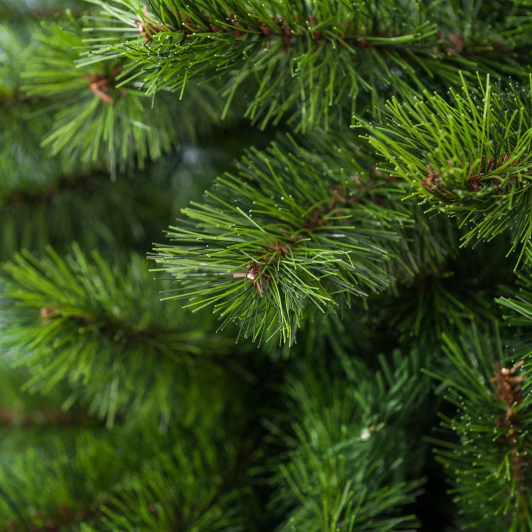 Albero di Natale in PP Effetto Aghi di Pino + PVC 270 cm PIRENEI