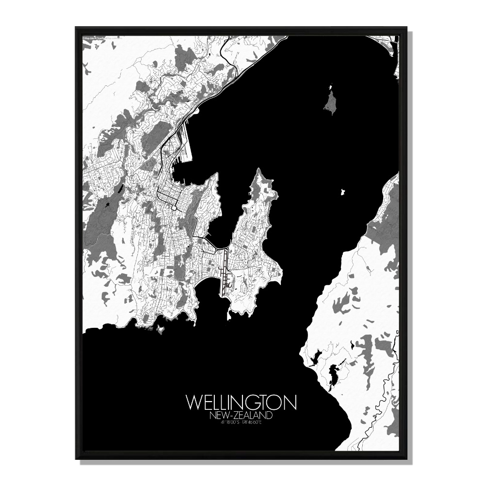 WELLINGTON - Carte City Map N&B 40x50cm