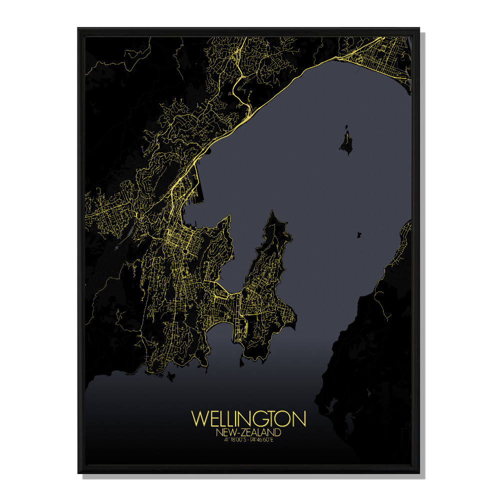 WELLINGTON - Carte City Map Nuit 40x50cm