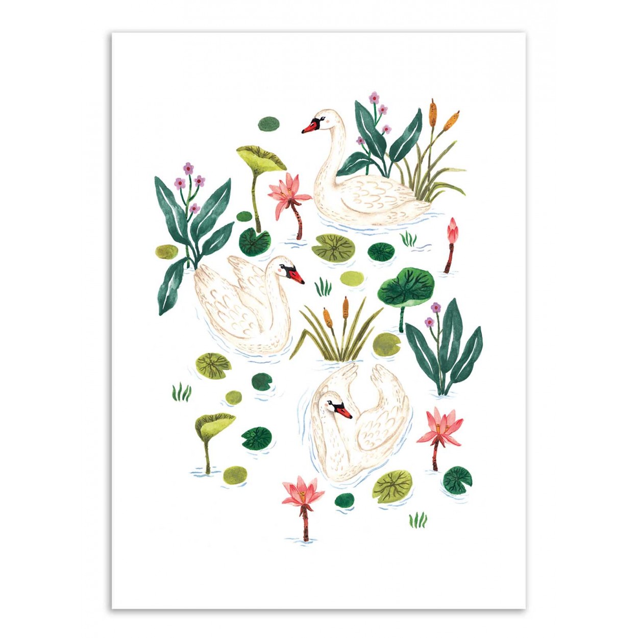 SWAN - Affiche d'art 50 x 70 cm SWAN - Affiche d'art 50 x 70 cm