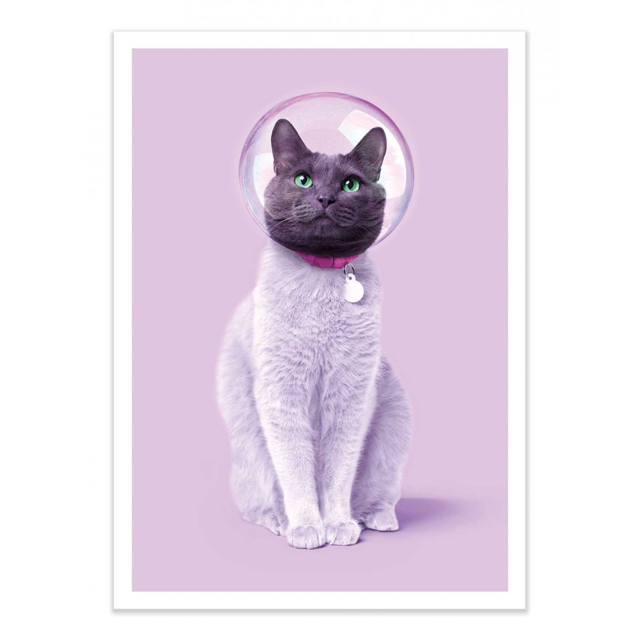SPACE CAT - Affiche d'art 50 x 70 cm SPACE CAT - Affiche d'art 50 x 70 cm