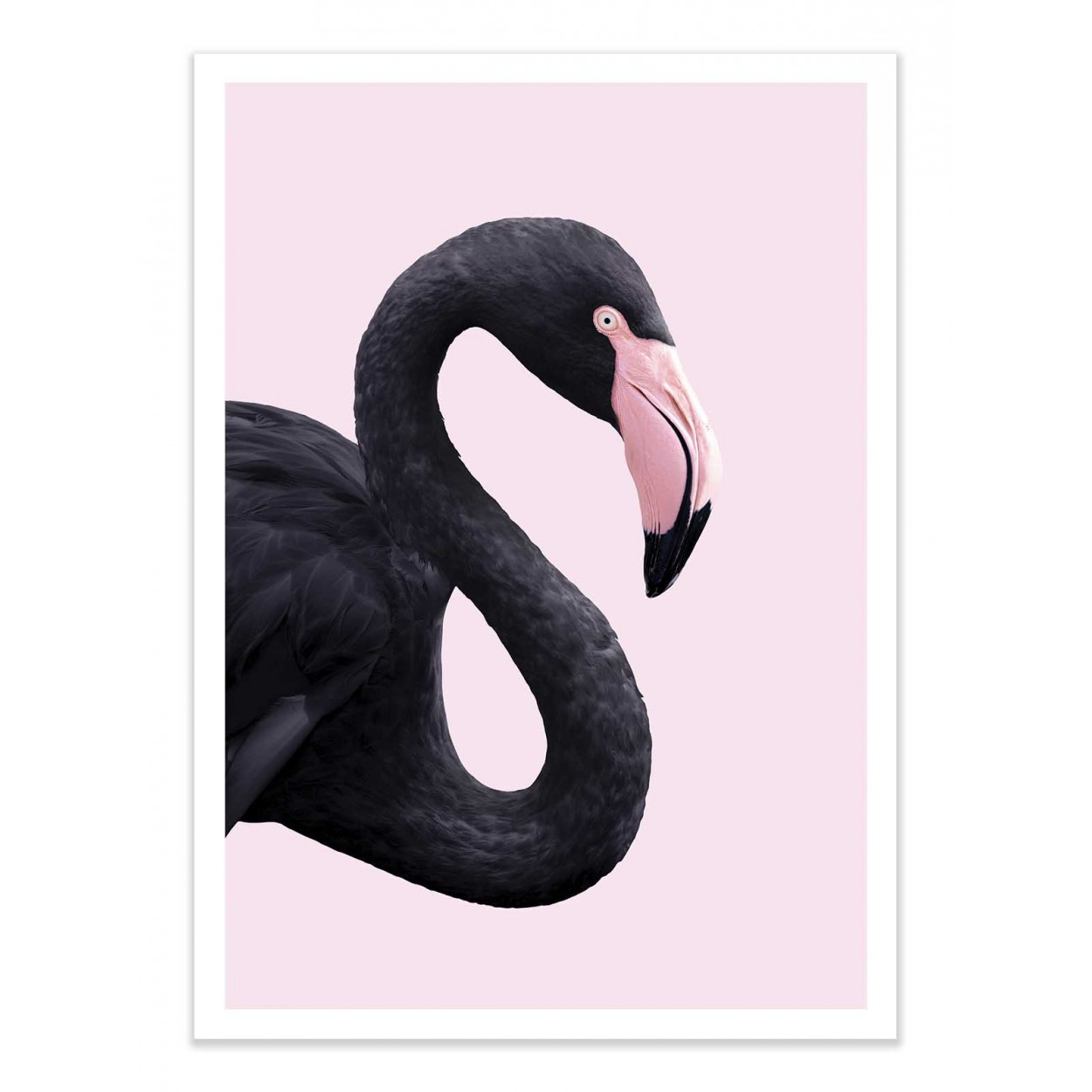 Affiche d'art 50 x 70 cm Affiche d'art 50 x 70 cm