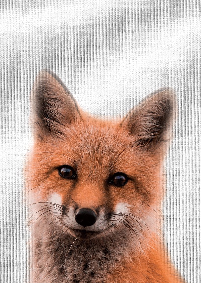 Tableau métal renard 32x45 Tableau métal renard 32x45
