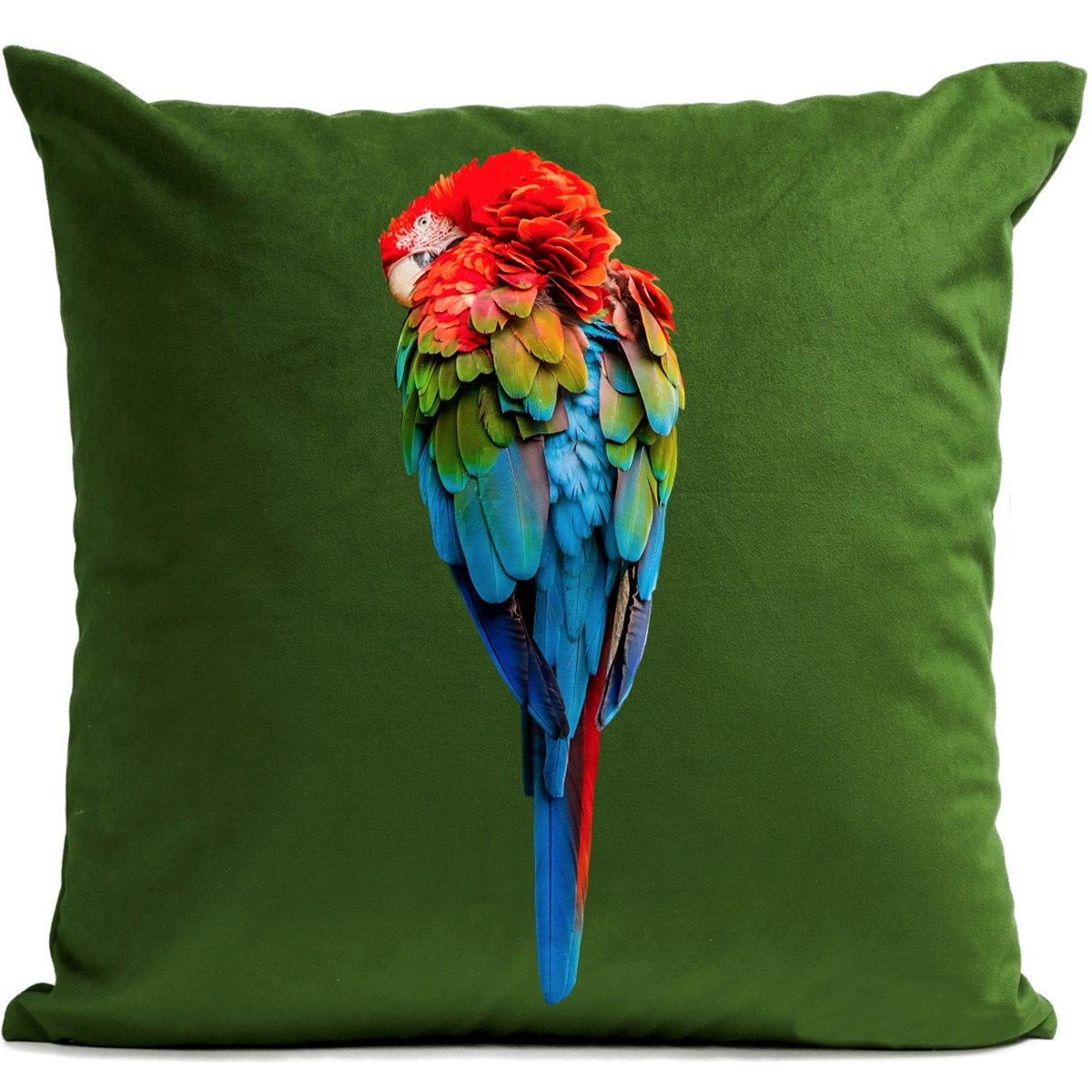 Coussin Perroquet Red Parrot Velours 60x60cm