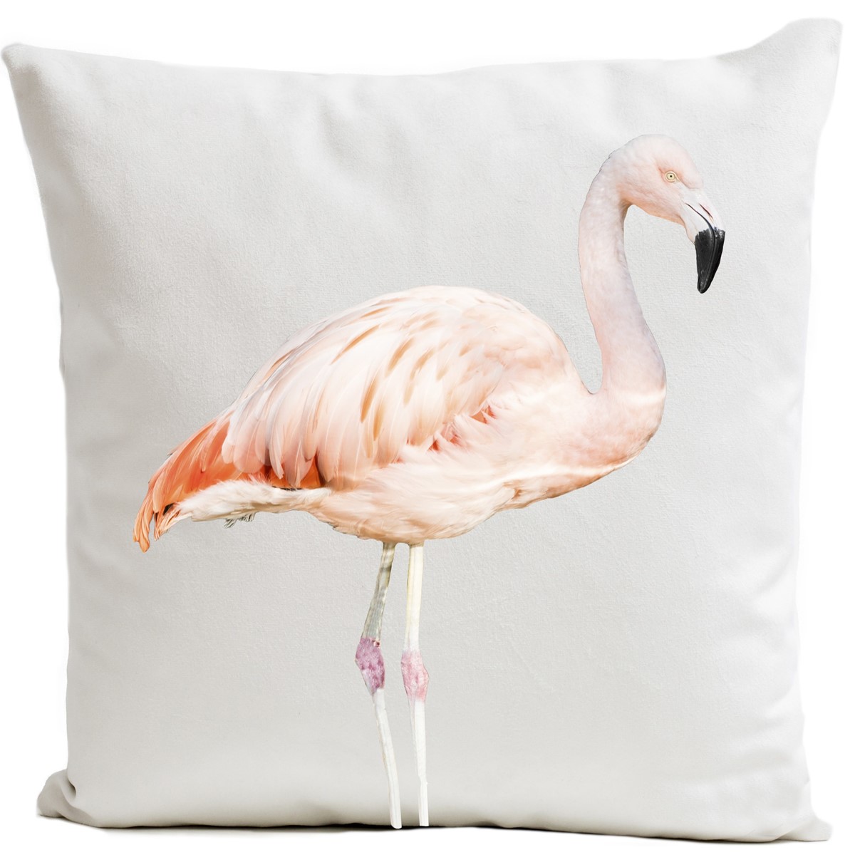 Coussin velours carré imprimé animaux blanc 40x40 (photo) Coussin velours carré imprimé animaux blanc 40x40