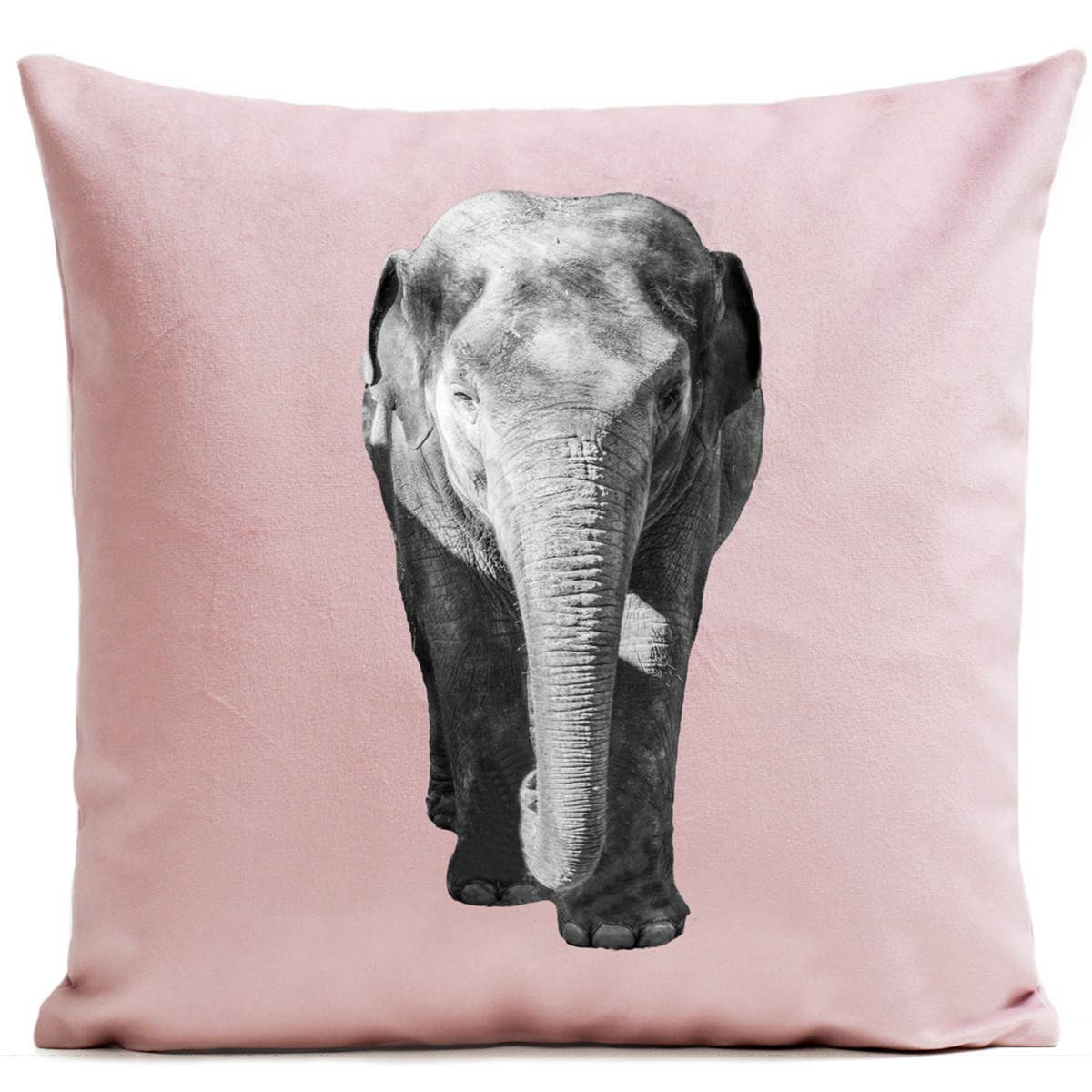 Coussin Elephant Velours 40x40cm Coussin Elephant Velours 40x40cm