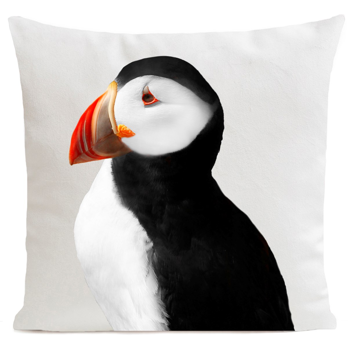 Coussin velours carré imprimé animaux blanc 60x60 (photo) Coussin velours carré imprimé animaux blanc 60x60