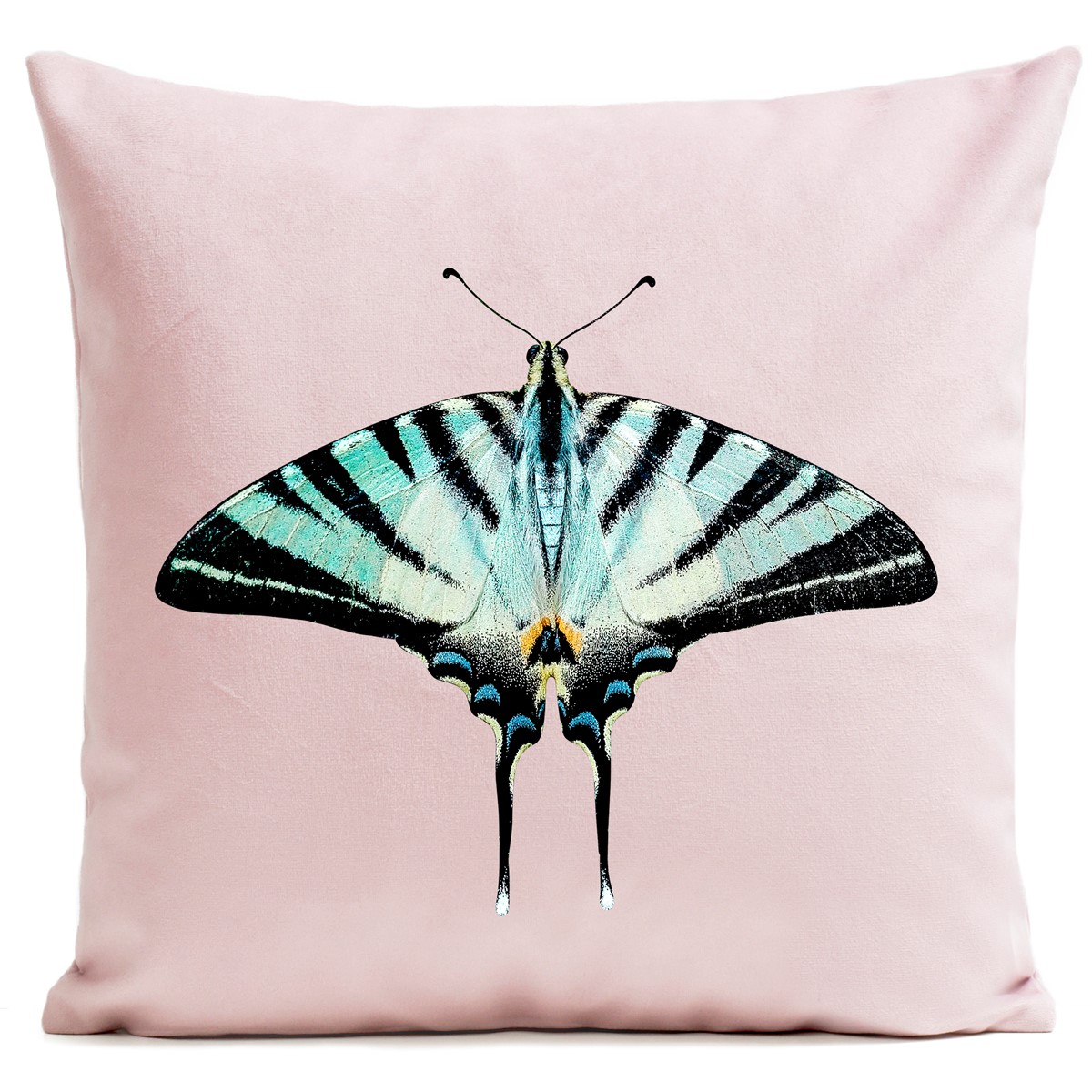 Coussin Papillon Zebra Butterfly Velours 60x60cm Coussin Papillon Zebra Butterfly Velours 60x60cm