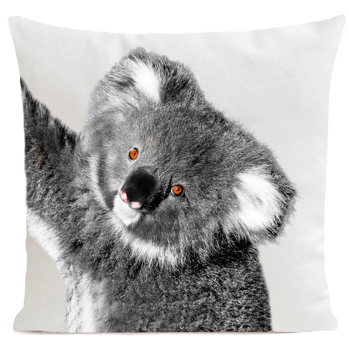 Coussin velours carré imprimé animaux blanc 60x60 (photo) Coussin velours carré imprimé animaux blanc 60x60