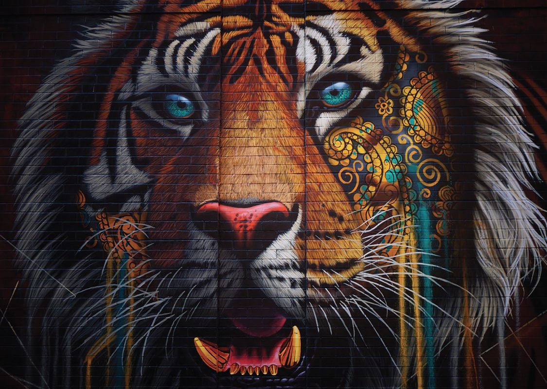 Tableau métal tiger 32x45 Tableau métal tiger 32x45